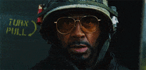 GIF by Giphy QA