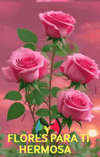 Para Ti Amigos GIF by Murcianys LLC