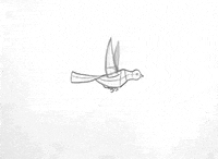 animation art GIF by hoppip