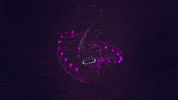 friedpixels animation loop purple motion graphics GIF