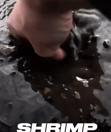 giphyupload GIF