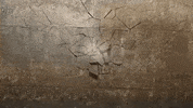 Te Quiero Lol GIF by systaime