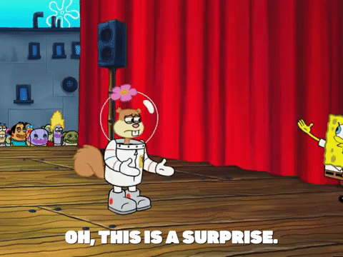 season 5 GIF by SpongeBob SquarePants