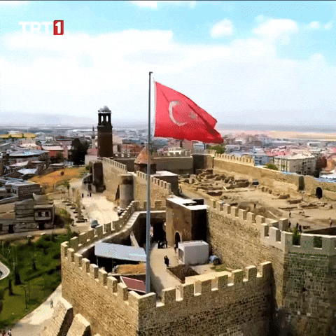Flag Freedom GIF by TRT
