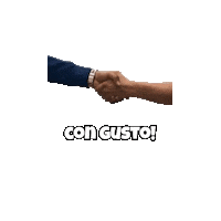 Delivery Ok Sticker by Rapi2Go