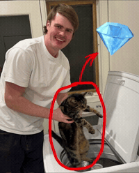 Look At That Big Leagues GIF