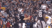 new england patriots football GIF by NFL