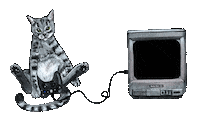 Videogame Sticker