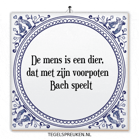 Humor Nl GIF by Tegelspreuken.nl