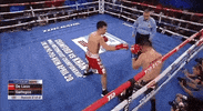 top rank sport GIF by Top Rank Boxing