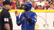 Ny Mets Ok GIF by New York Mets