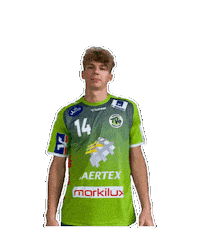 Handball Sticker by TV Emsdetten