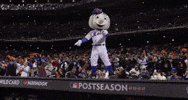 Ny Mets Baseball GIF by MLB