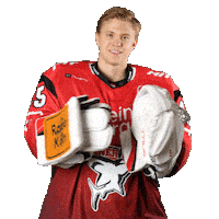 Hockey Clap Sticker by Koelner Haie