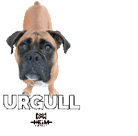 Sad Dog Sticker by Heim CrossFit