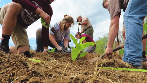 earth day campus beautiful GIF by Eastern Kentucky University