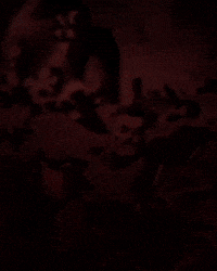 Invincible GIF