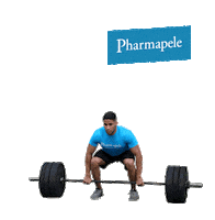 Workout Crossfit Sticker by Pharmapele