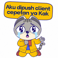 Cat Please GIF by KOL.ID