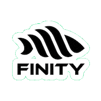 Catch And Release Berlin Sticker by Finity Fishing