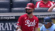Confused Jesse Winker GIF by Cincinnati Reds
