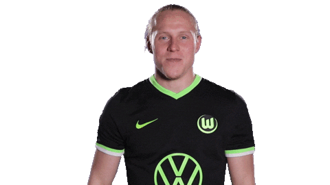 Sport Soccer Sticker by VfL Wolfsburg