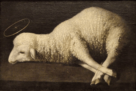 Artlikbez giphyupload painting masterpiece lamb GIF