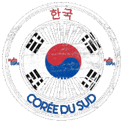 Korea Nn Sticker by NoirNomads