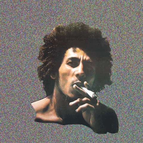 cheffaker giphygifmaker cannabis culture chill out GIF