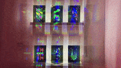 GIF by Walter Wlodarczyk