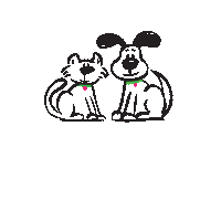 aMANdasBestFriend raleigh dogwalking amandasbestfriend dogwalkingraleigh Sticker