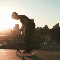 World Champion Tricks GIF