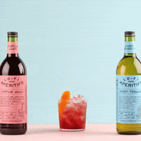 lofiaperitifs lofi aperitif lo-fi negroni GIF