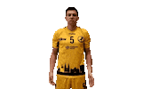 Ck5 Ok Sticker by Bregenz Handball