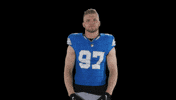 Nfl Ok GIF by Detroit Lions