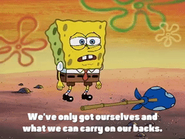 season 2 prehibernation week GIF by SpongeBob SquarePants