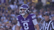 Big Ten Michigan GIF by Northwestern Athletics