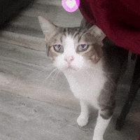 I Love You Hearts GIF by SpoopyDrws