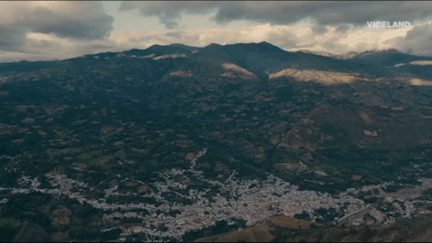 viceland GIF by Hamilton's Pharmacopeia