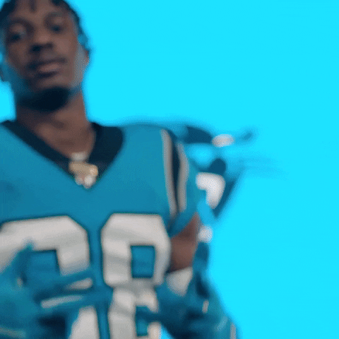 Happy North Carolina GIF by Carolina Panthers