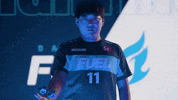 Owl Dallas GIF by Envy
