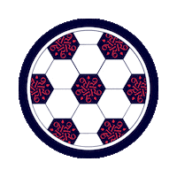 Rossall Girls Football Sticker by Rossall School