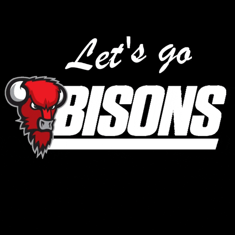 Bisons basketball bisons biisonit lets go bisons GIF