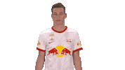 Number Jersey Sticker by FC Red Bull Salzburg