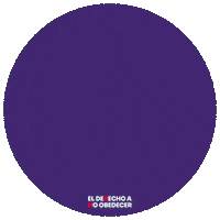 DANO_Org justicia climatica elderechoanoobedecer linea dano danolatam Sticker