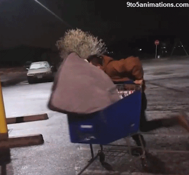 snow fails GIF