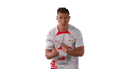 Dont Give Up Lets Go Sticker by RB Leipzig