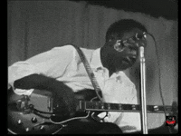 Blues GIF by John Lee Hooker