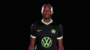 Celebrate Josuha Guilavogui GIF by VfL Wolfsburg
