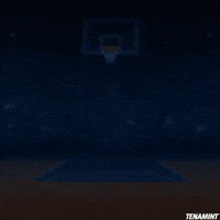 TENAMINT basketball pixelart nba hockey GIF